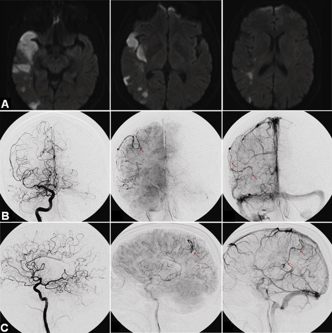 Figure 2