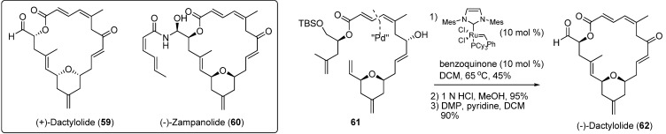 Scheme 17