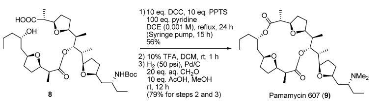 Scheme 3