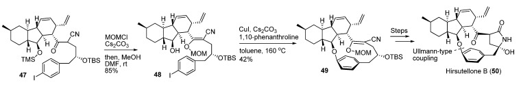 Scheme 14