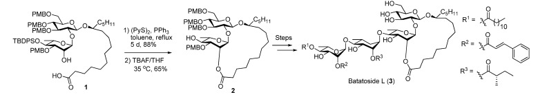 Scheme 1