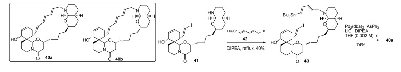 Scheme 12