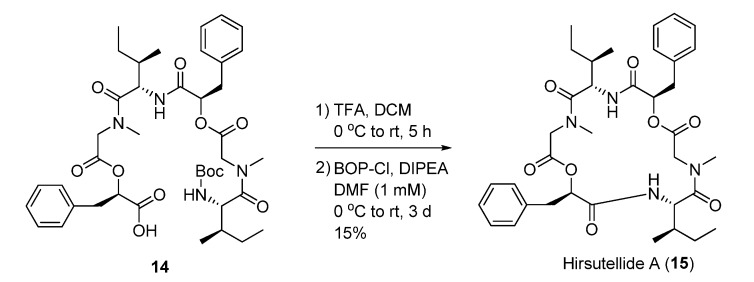 Scheme 5