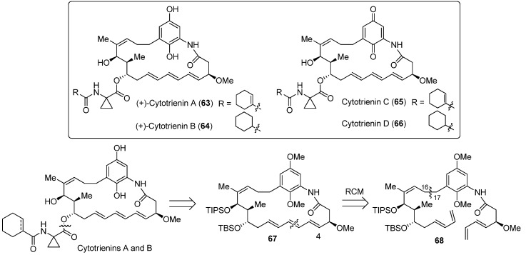 Scheme 18