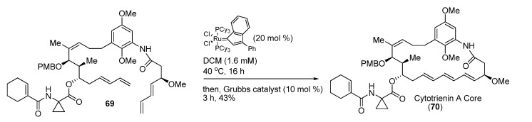 Scheme 19