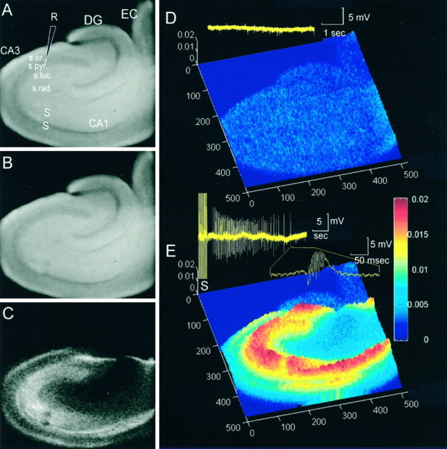 Fig. 3.