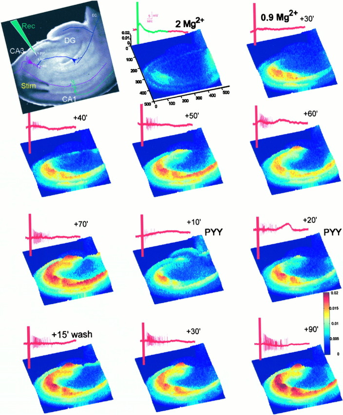 Fig. 11.