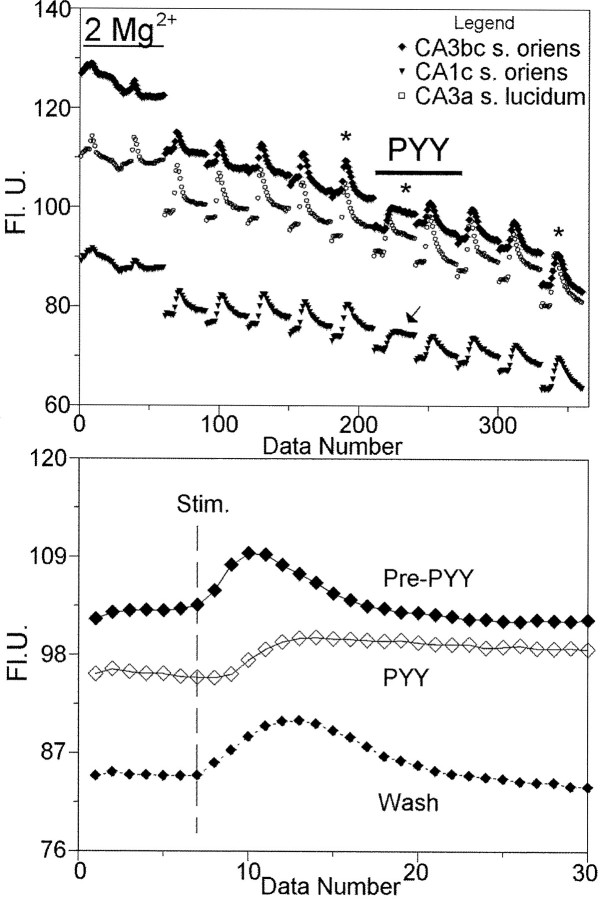 Fig. 12.