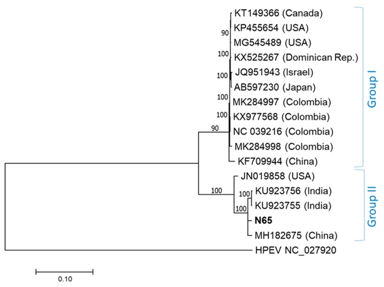 Figure 1