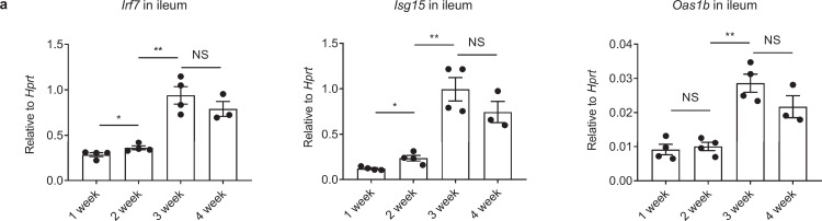 Figure 2—figure supplement 5.