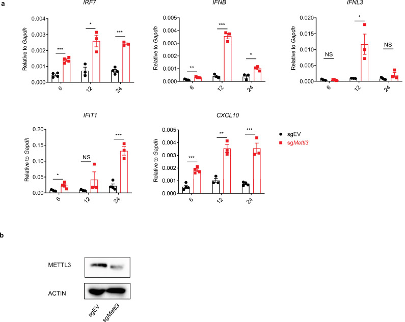 Figure 2—figure supplement 2.