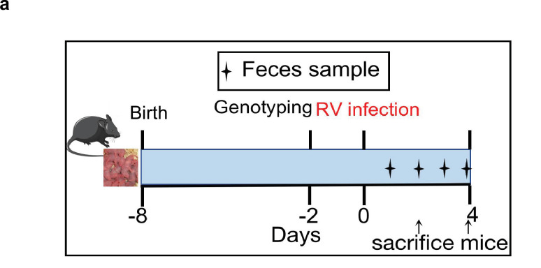 Figure 1—figure supplement 4.