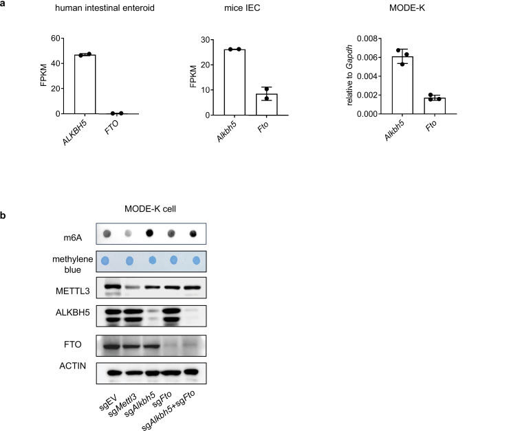 Figure 4—figure supplement 1.