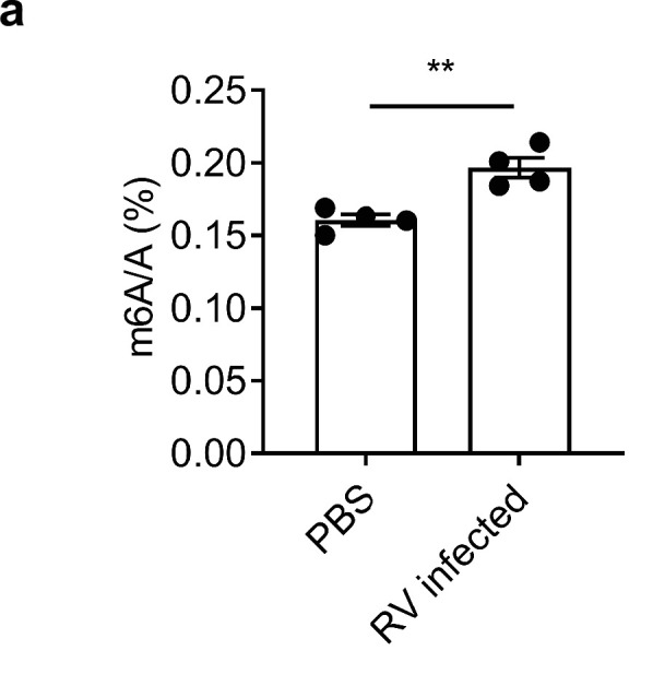 Figure 1—figure supplement 3.