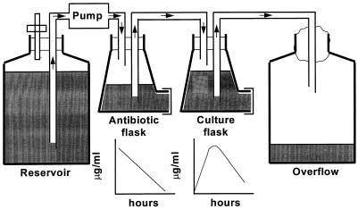 FIG. 1