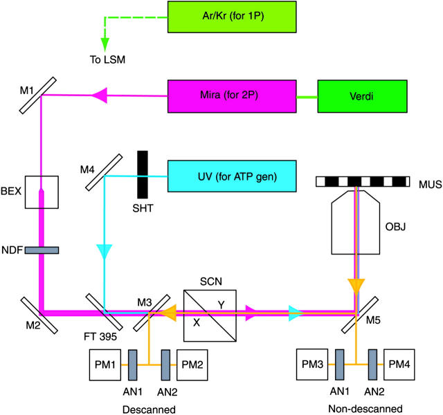 FIGURE 2