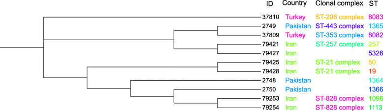 Fig. 7