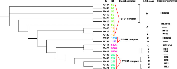 Fig. 3