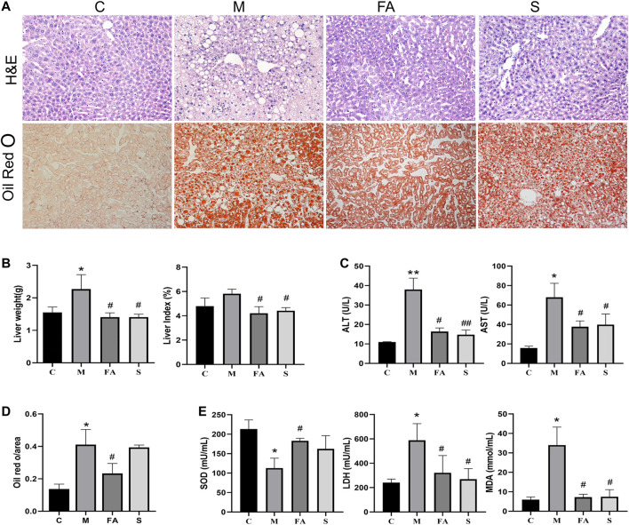 FIGURE 3