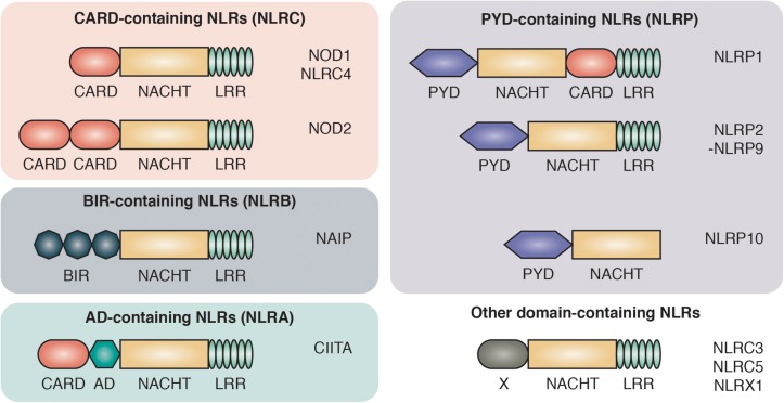 FIGURE 1