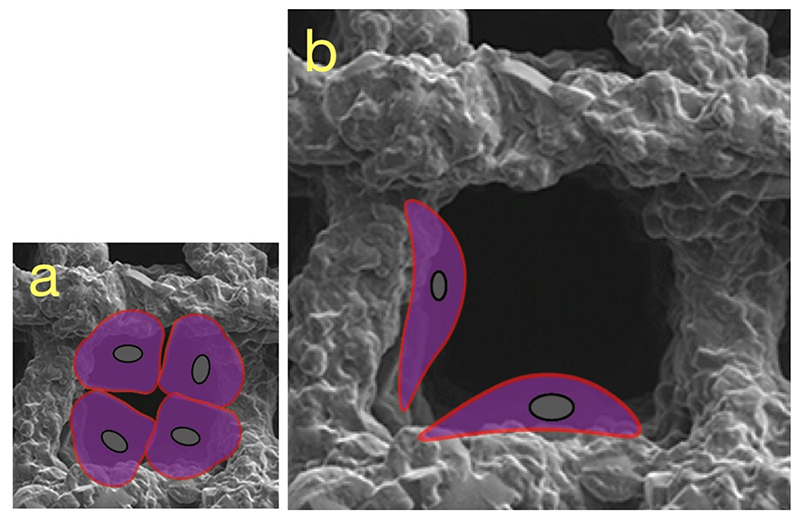 Schematic 1