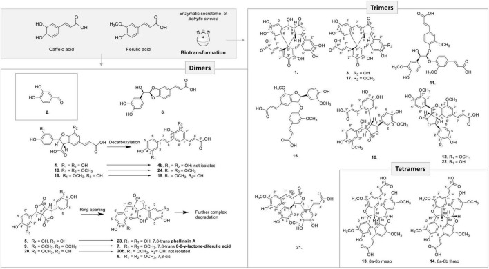 FIGURE 4