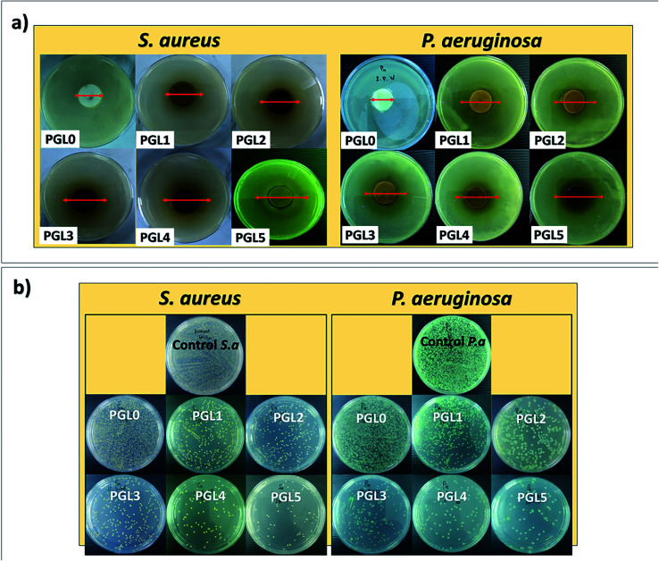 Fig. 10