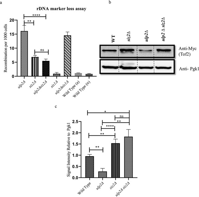 FIG 3