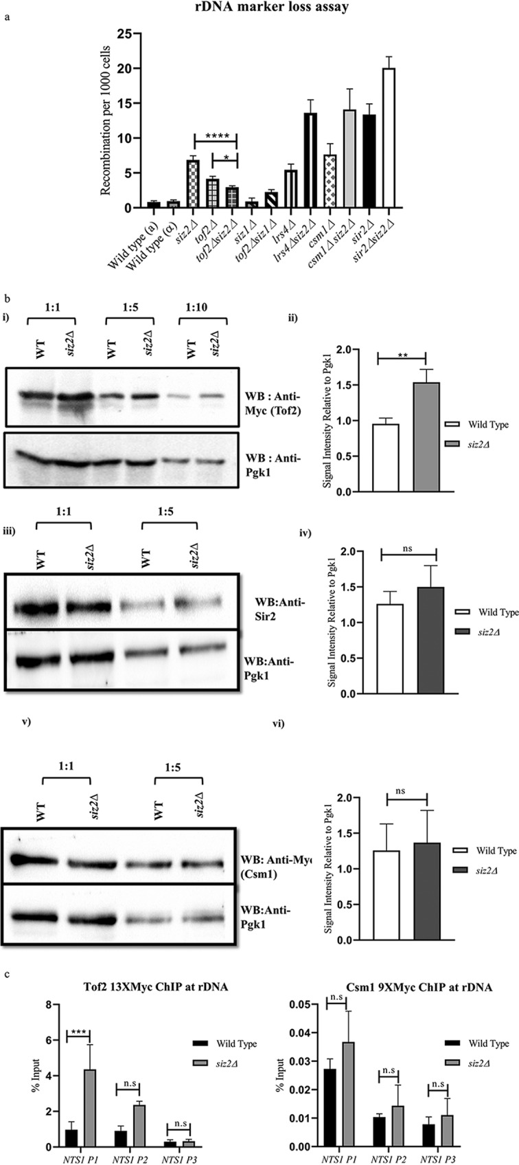 FIG 2