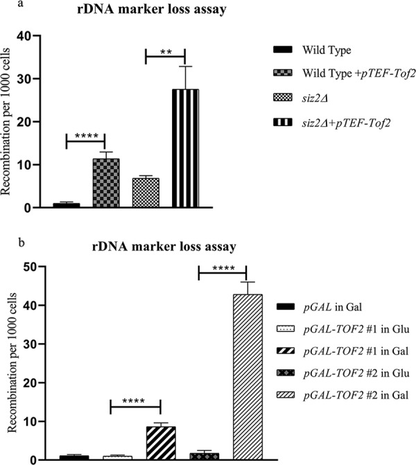 FIG 4