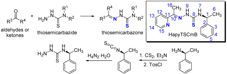 Scheme 1