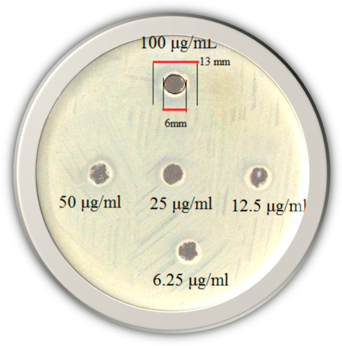 Figure 7