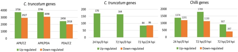 Fig 9