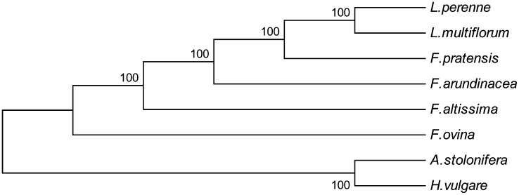 Figure 4 