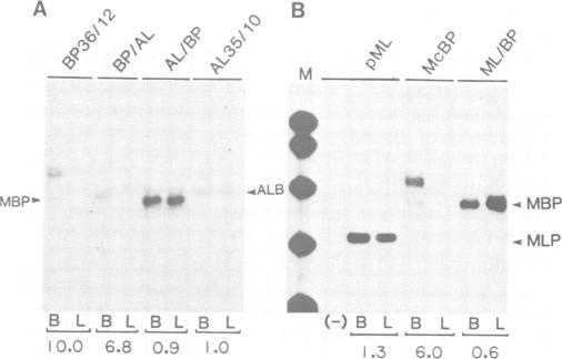 Fig. 9.