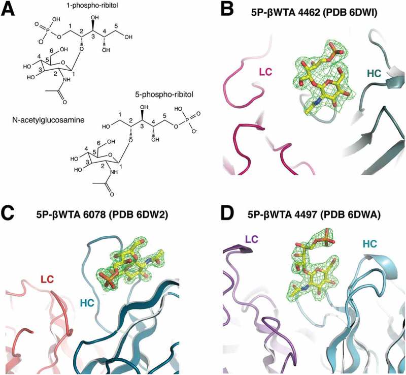 Figure 4.