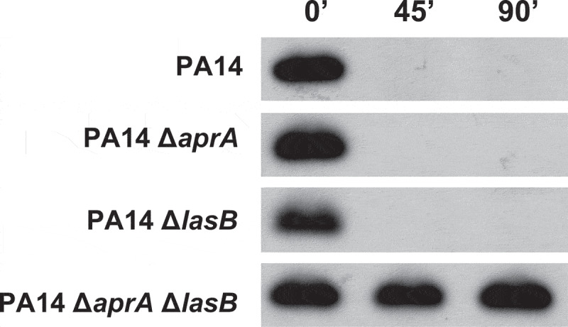 Figure 3.