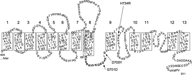 FIGURE 1.