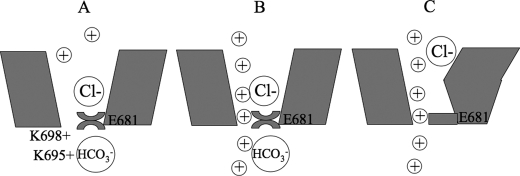 FIGURE 8.