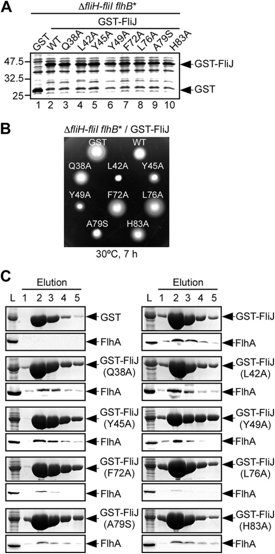 Fig 3