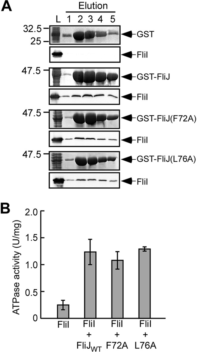 Fig 5