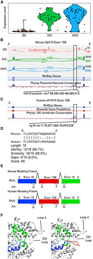 Figure 4.