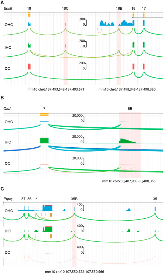 Figure 5.