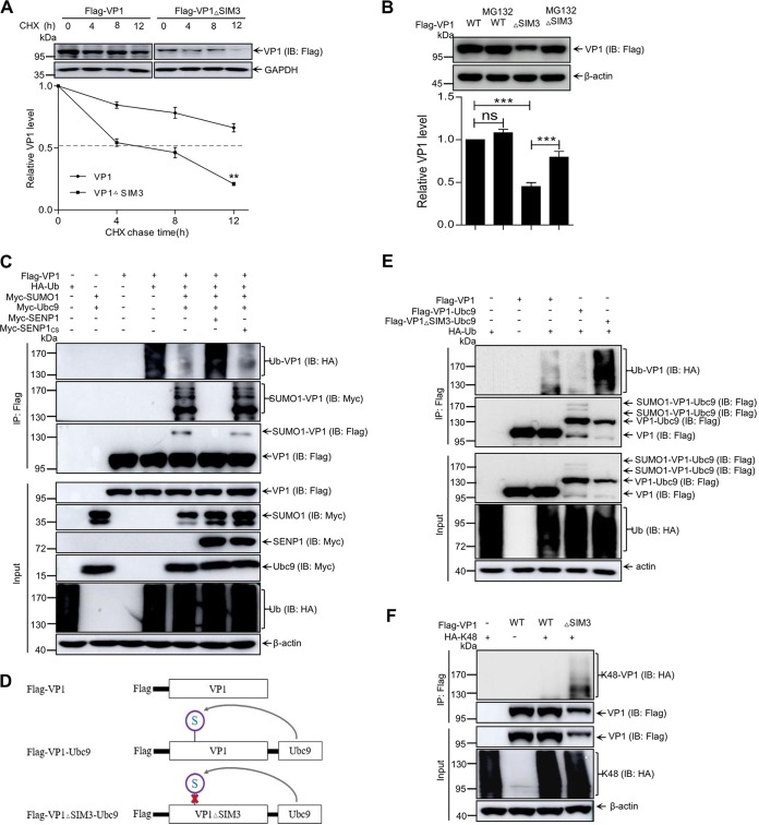 FIG 4