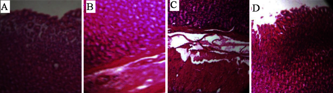 Figure 5