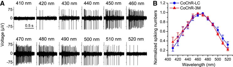 Figure 3