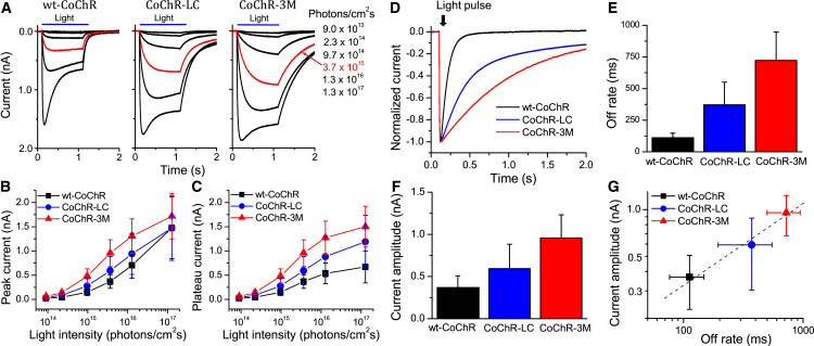 Figure 1