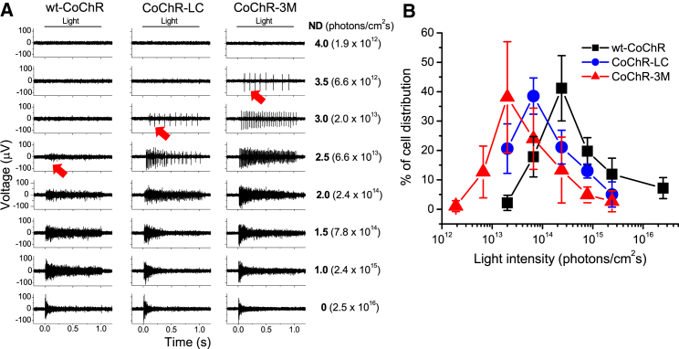 Figure 4