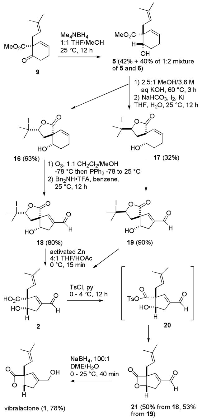 Scheme 3