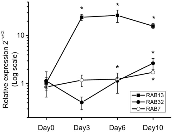 Figure 2.